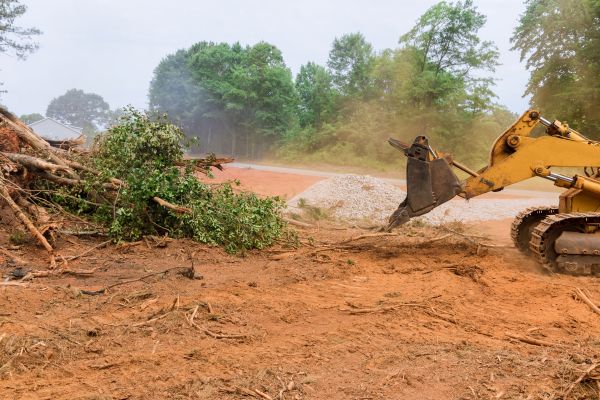 Ground Clearing in Navarre