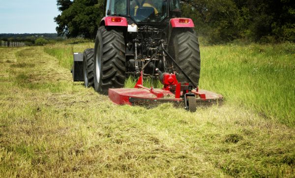 Brush Clearing Service in Navarre