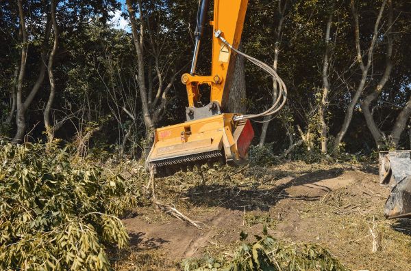 Brush Removal Service in Navarre