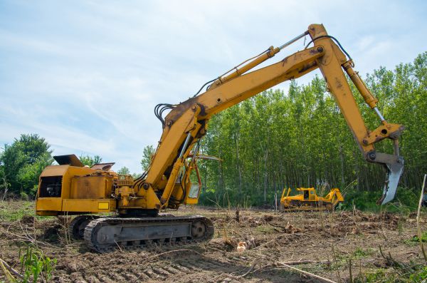 Farm Clearing in Navarre
