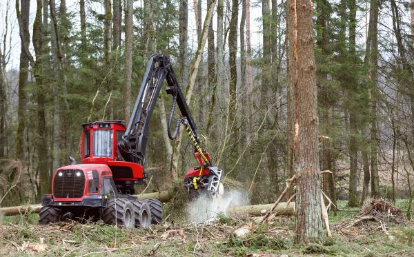 Forest Clearance Service in Navarre