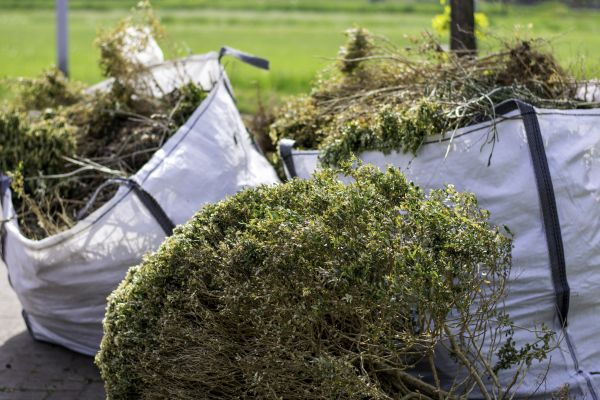 Bushes Clearing in Navarre