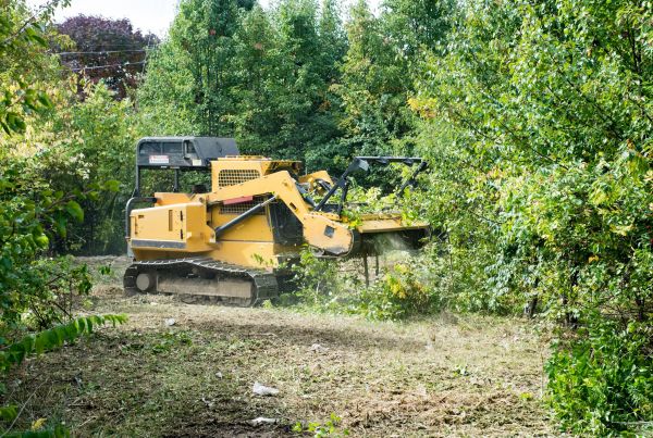 Pathway Clearing in Navarre