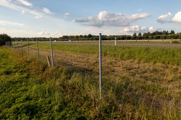 Property Line Clearing in Navarre