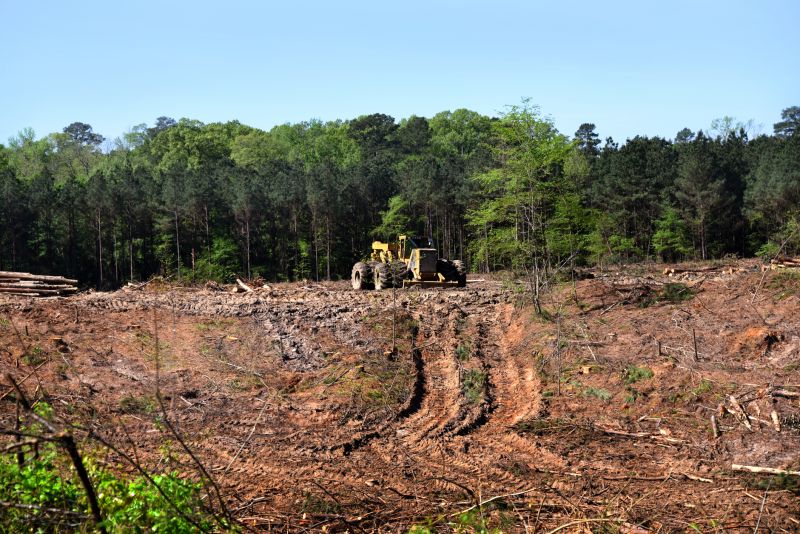 Large-Scale Land Clearing